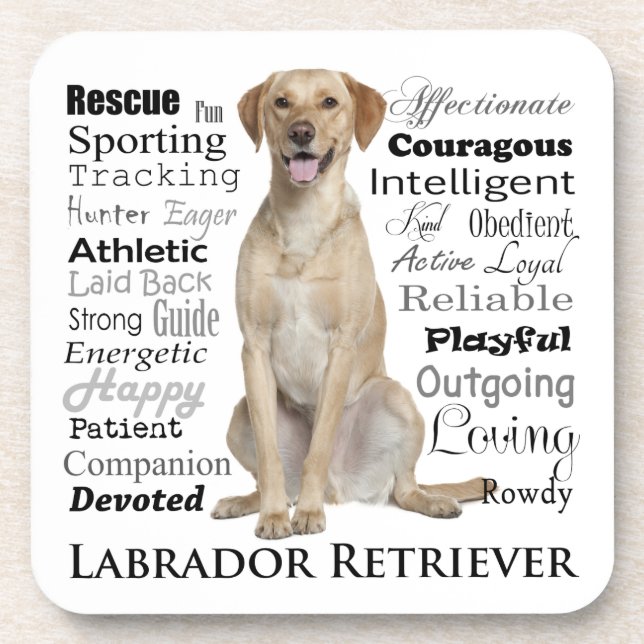 Yellow Lab Traits Coaster Set (Front)