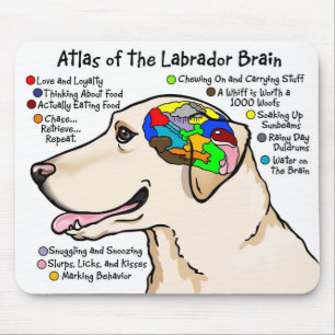Yellow Labrador Brain Atlas Mouse Mat