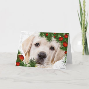 Yellow Labrador Christmas Card