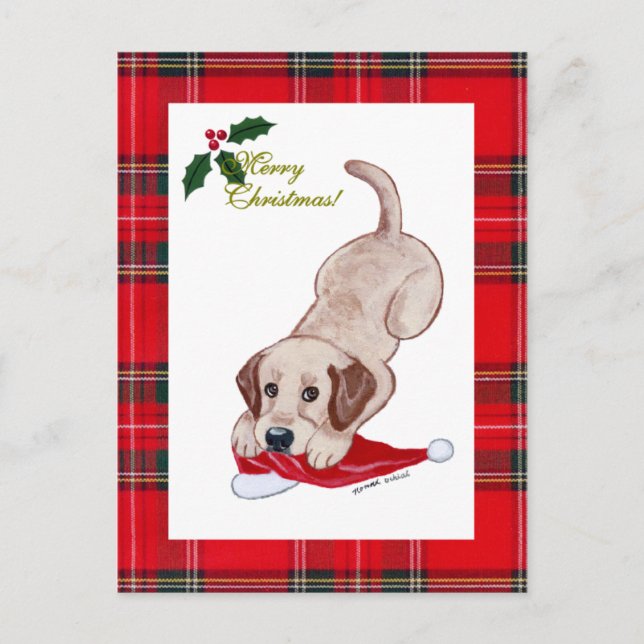 Yellow Labrador Christmas Santa Hat Tartan Holiday Postcard (Front)
