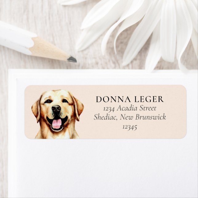 Yellow Labrador Dog Personalised Address (Insitu)