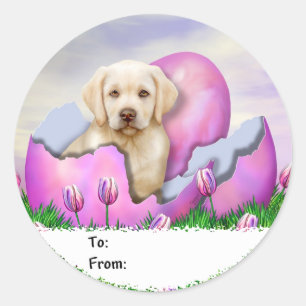 Yellow Labrador Easter Surprise Classic Round Sticker