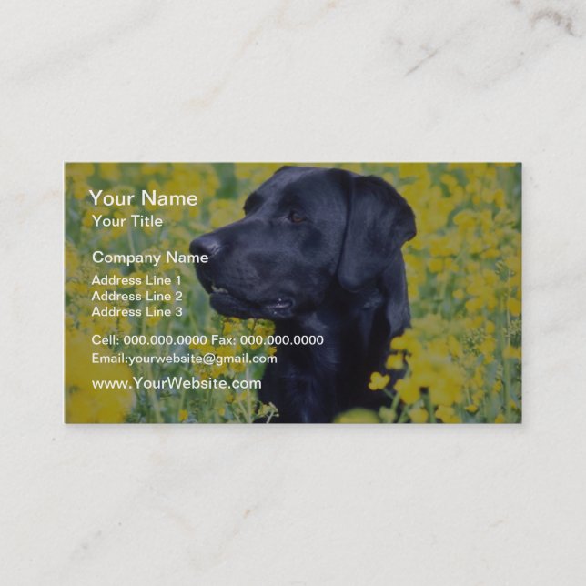 yellow Labrador flowers Business Card (Front)