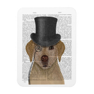 Yellow Labrador, Formal Hound and Hat Magnet