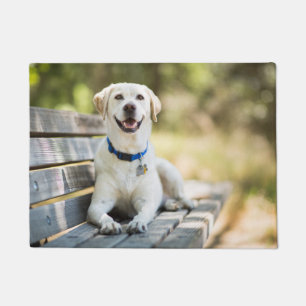 Yellow Labrador Lays On Bench Doormat