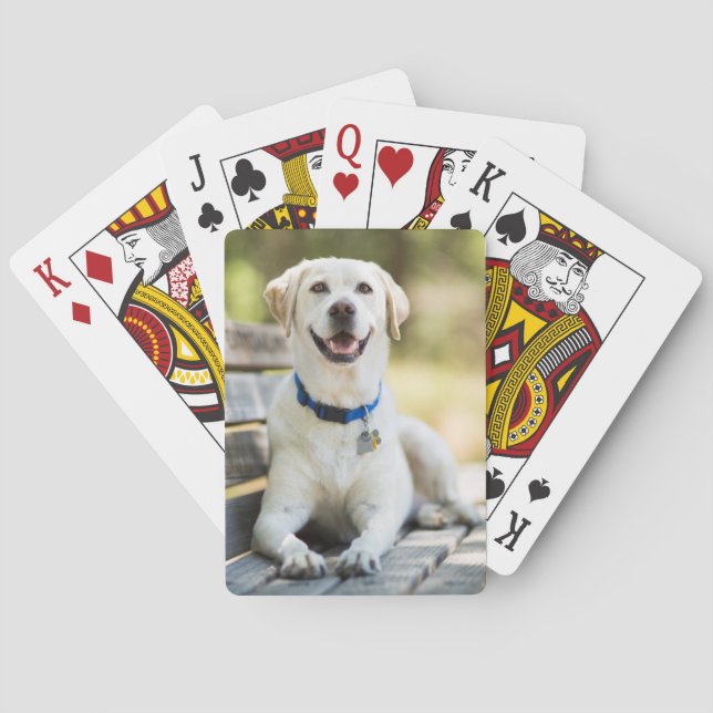 Yellow Labrador Lays On Bench Playing Cards (Back)