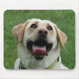 Yellow Labrador mousepad