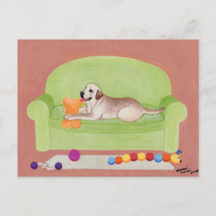 Yellow Labrador on the green couch Postcard