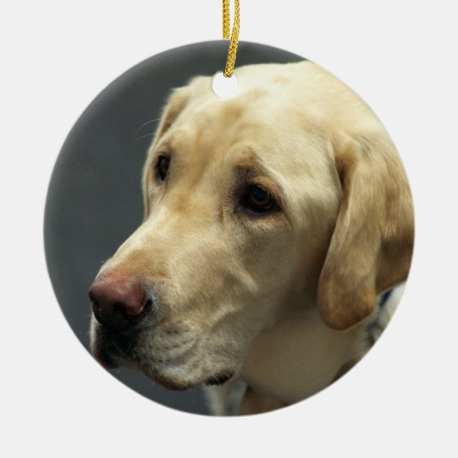 Yellow Labrador Ornament (Front)
