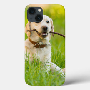 Yellow Labrador Plays Fetch With Stick iPhone 13 Case