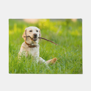 Yellow Labrador Plays Fetch With Stick Doormat