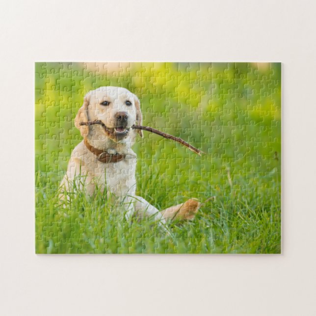 Yellow Labrador Plays Fetch With Stick Jigsaw Puzzle (Horizontal)