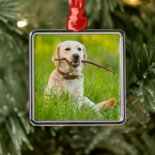 Yellow Labrador Plays Fetch With Stick Metal Tree Decoration