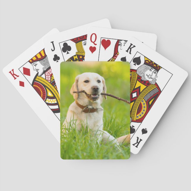 Yellow Labrador Plays Fetch With Stick Playing Cards (Back)
