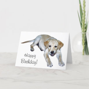 Yellow Labrador Puppy Card