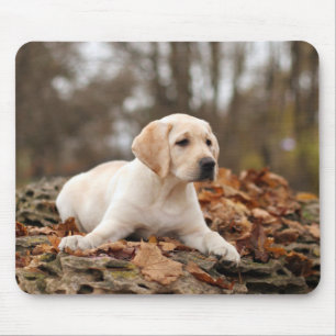 Yellow Labrador Puppy In Autumn Mouse Mat