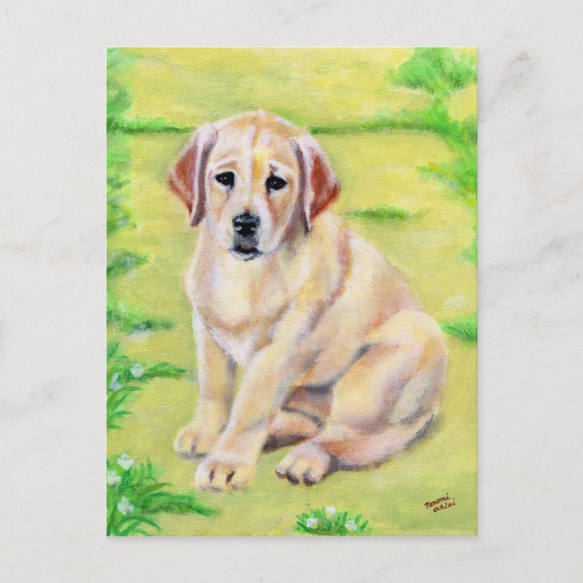 Yellow Labrador Puppy Postcard (Front)
