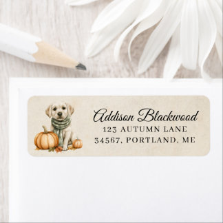 Yellow Labrador Puppy with a Pumpkin Return