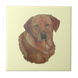 yellow labrador reteiver dog portrait art tile