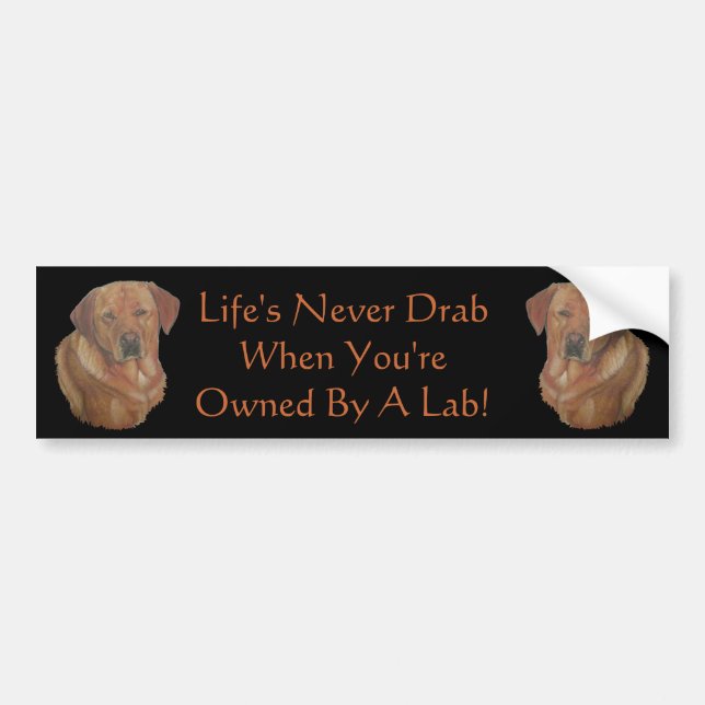 yellow labrador reteiver dog portrait fun slogan bumper sticker (Front)