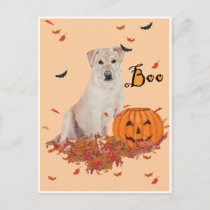 Yellow Labrador Retriever Boo! Postcard
