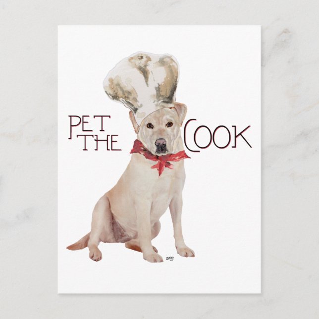 Yellow Labrador Retriever Chef Postcard (Front)