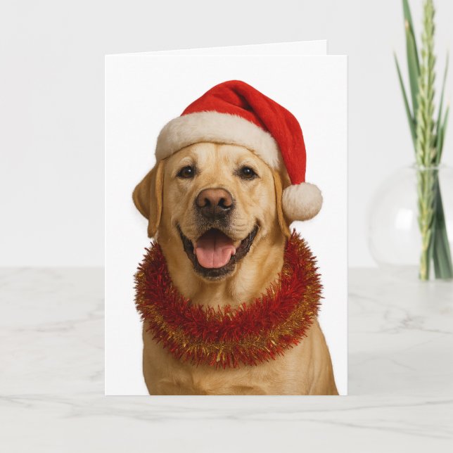 Yellow Labrador Retriever Christmas card (Front)