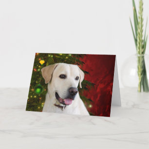 Yellow labrador retriever Christmas Holiday Card