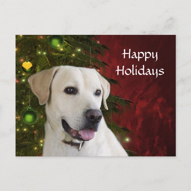 Yellow labrador retriever Christmas Holiday Postcard (Front)