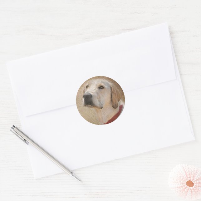 yellow Labrador Retriever Classic Round Sticker (Envelope)