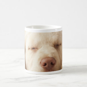 Yellow Labrador Retriever Coffee Mug