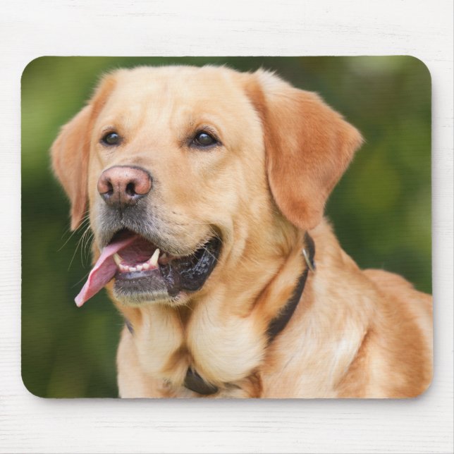 Yellow Labrador Retriever Dog - Lab Mouse Mat (Front)