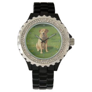 Yellow Labrador Retriever Dog Watch