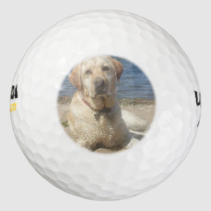 Yellow Labrador Retriever Golf Balls