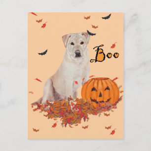 Yellow Labrador Retriever Halloween Postcard
