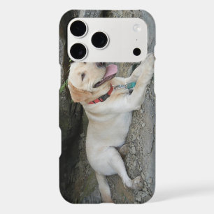 Yellow Labrador Retriever iPhone X Case