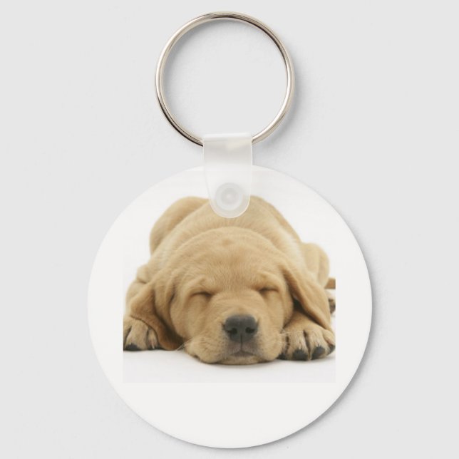 Yellow Labrador Retriever Key Ring (Front)