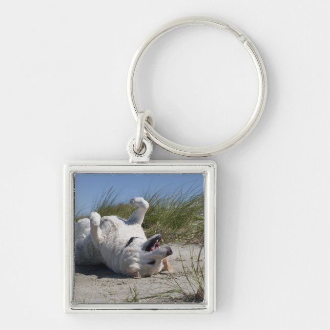 Yellow Labrador Retriever Key Ring (Front)