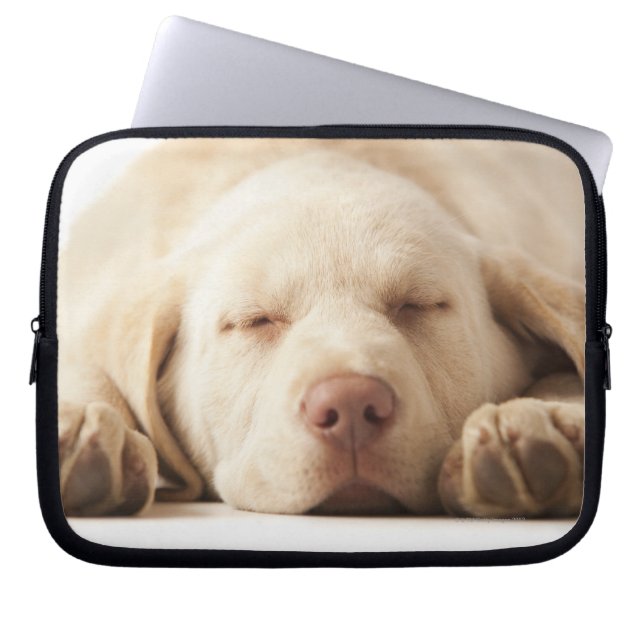 Yellow Labrador Retriever Laptop Sleeve (Front)