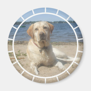Yellow Labrador Retriever Magnet