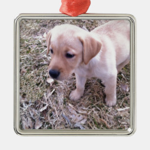 Yellow Labrador Retriever Metal Tree Decoration