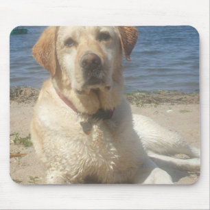 Yellow Labrador Retriever Mouse Pad