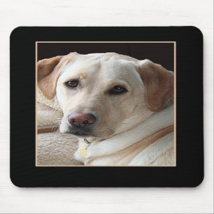 Yellow Labrador Retriever Mousepad