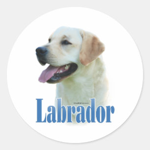 Yellow Labrador Retriever Name- Sticker
