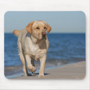 Yellow labrador retriever on the beach mouse mat