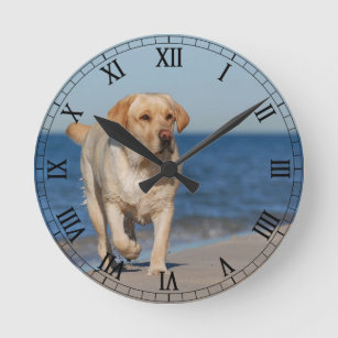 Yellow labrador retriever on the beach round clock