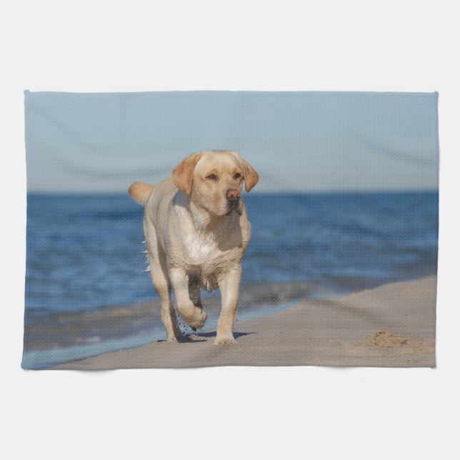 Yellow labrador retriever on the beach tea towel (Horizontal)