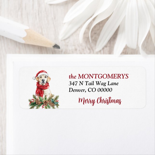 Yellow Labrador Retriever Pine Bough Christmas (Insitu)