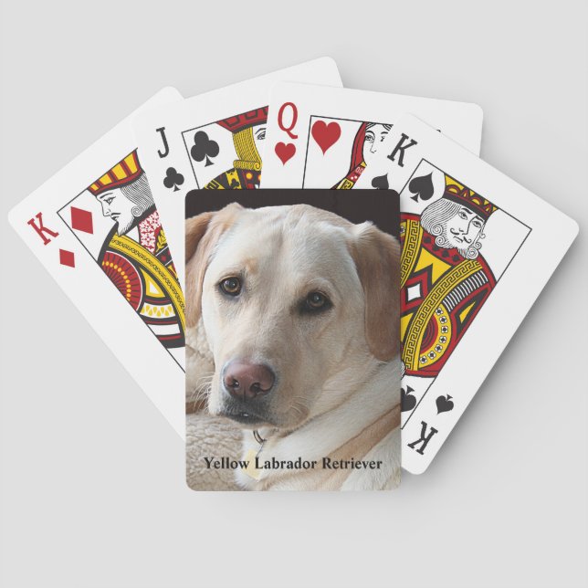 Yellow Labrador Retriever Playing Cards (Back)