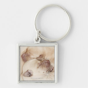 Yellow Labrador Retriever puppies, 10 days old Key Ring